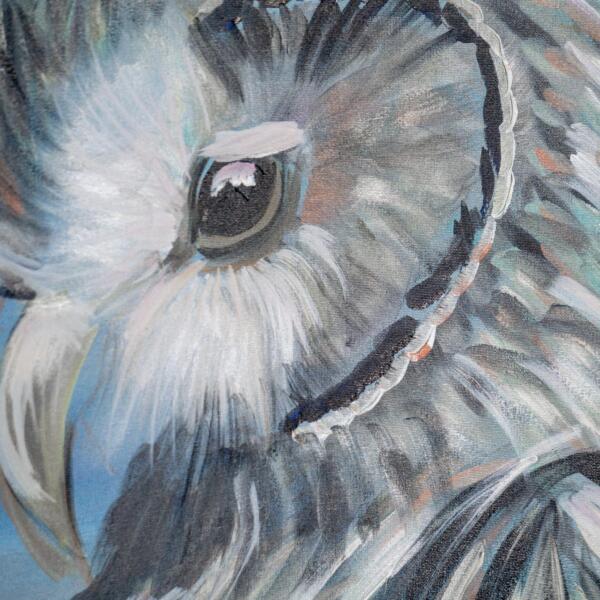 Grey Owl Closeup 2