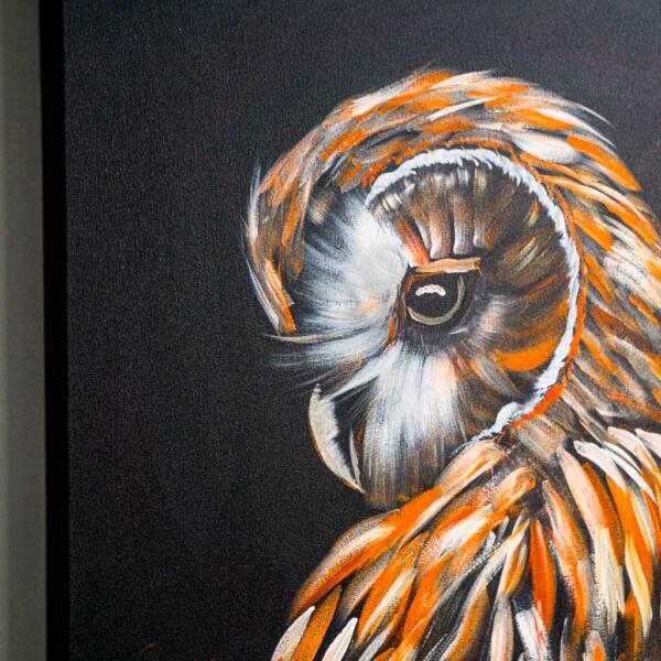 Owl 2 Closeup 2