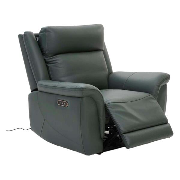 Emerson Recliner(2)